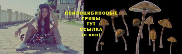 соль ск Приозерск