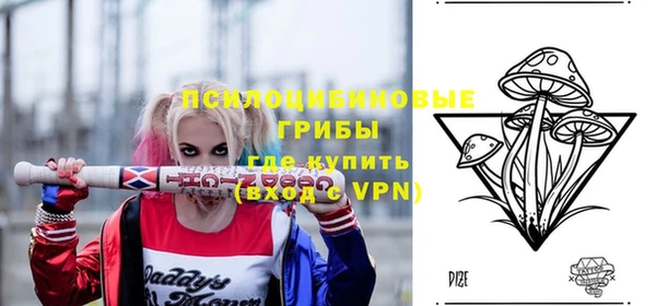 PSILOCYBIN Покров