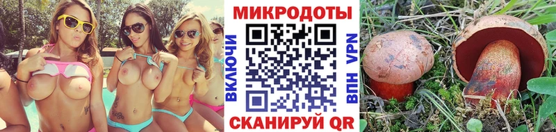 цены   Тайга  Псилоцибиновые грибы Magic Shrooms 